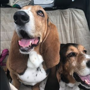 Meet your Posher, Kimbera